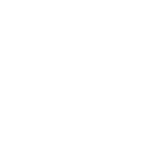 FlashEx